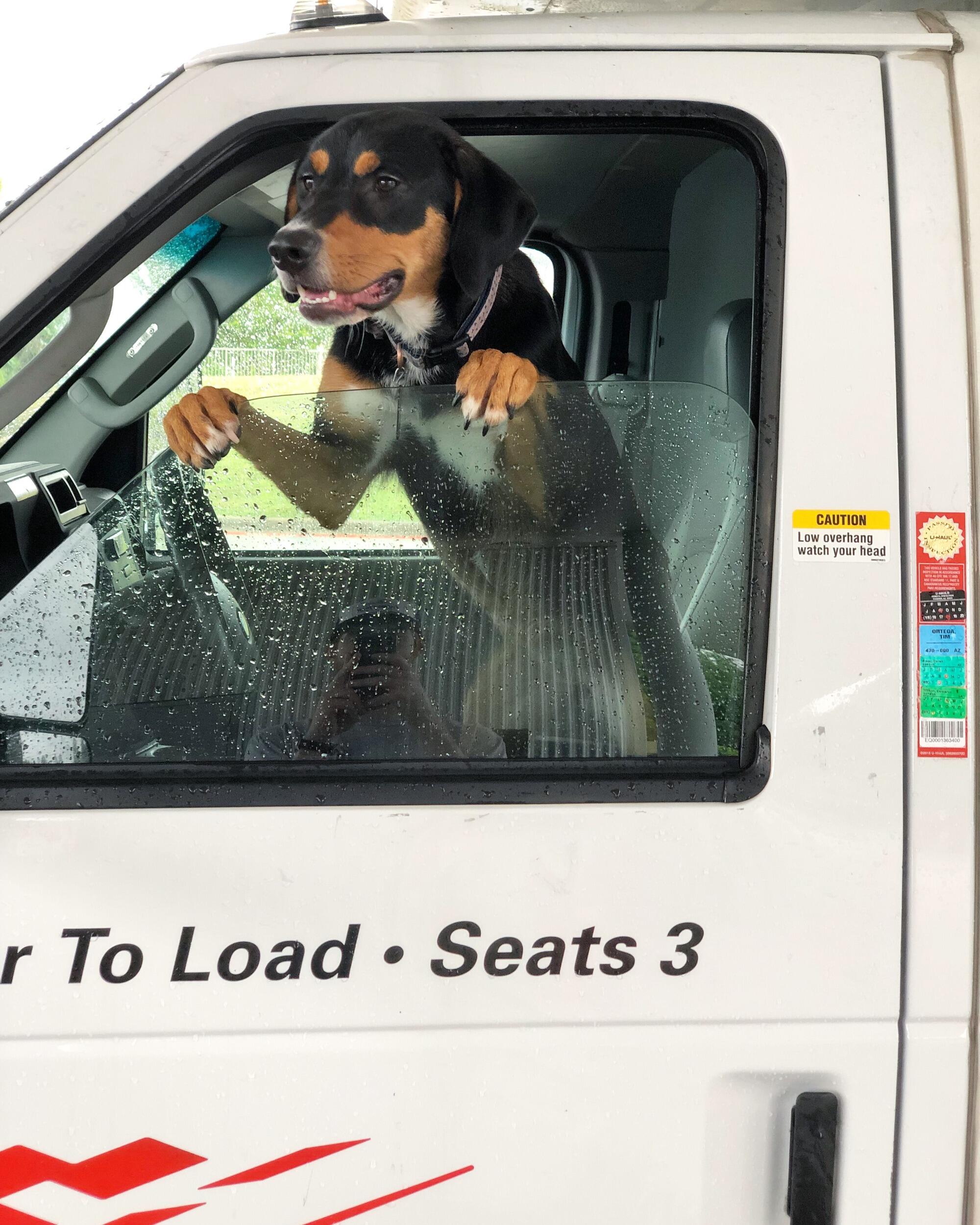 Patrick and Roxy loaded up the truck and headed for Patrick's new job in Texas. Kay-Lynn stayed behind in Baton Rouge to finish college.