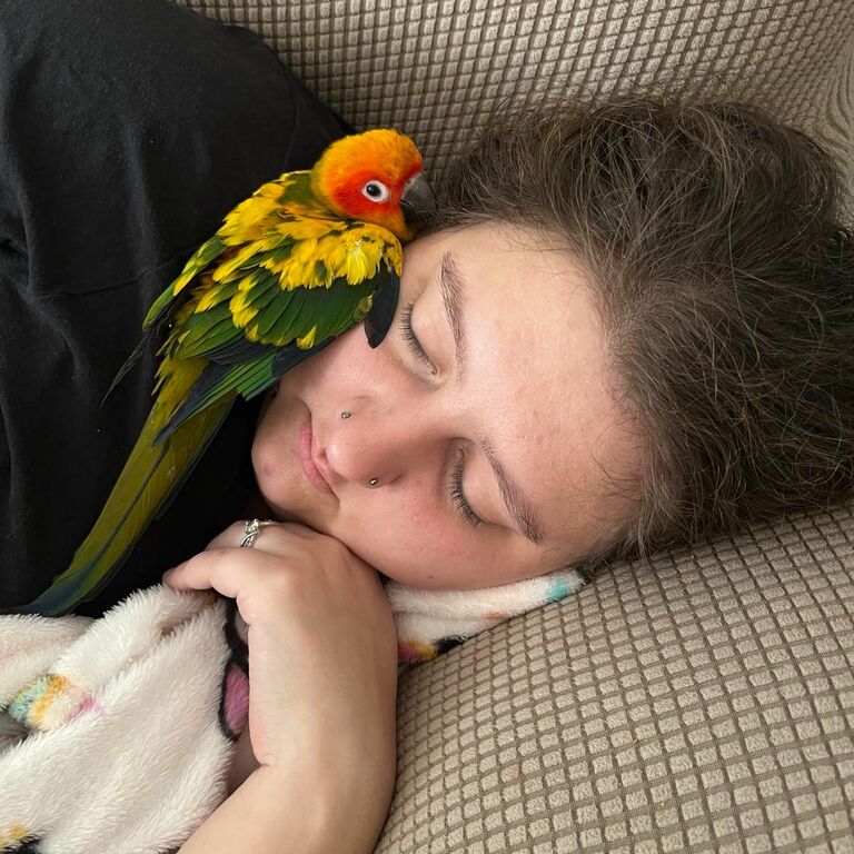 Jay got Ophelia for Cassandra as a Christmas present. Ophelia has a lot of personality and enjoys being in shirts!