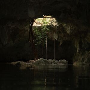 Gallery Photo 11