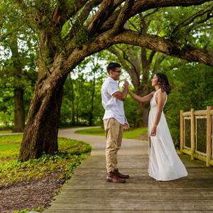 Gallery Photo 7