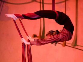 Laura Emiola - Aerialist - Circus Performer - Minneapolis, MN - Hero Gallery 1