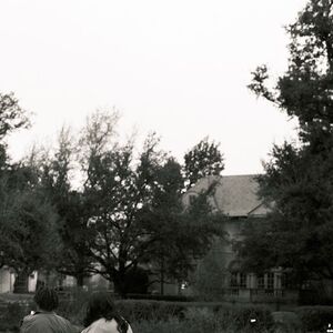 Gallery Photo 12