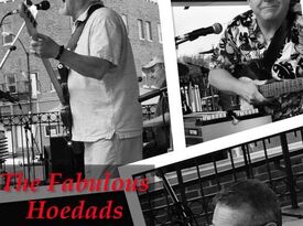 The Fabulous Hoedads - Cover Band - Decatur, IL - Hero Gallery 1