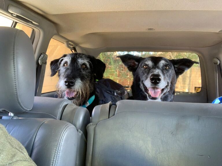 The Matchmakers!