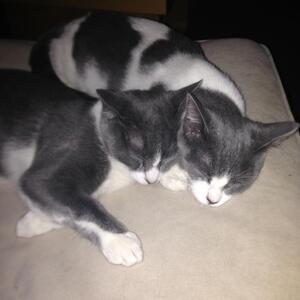Gallery Photo 42