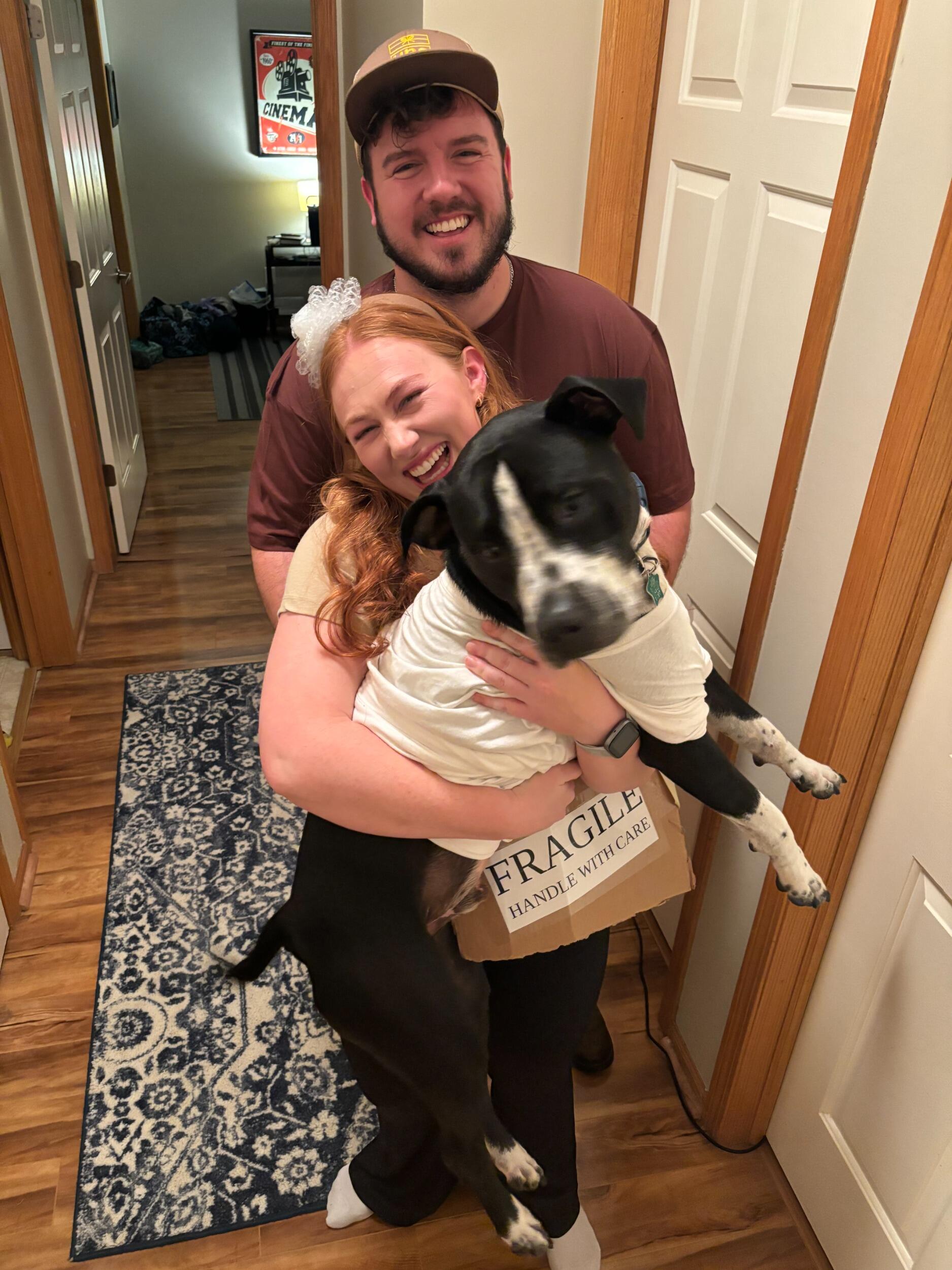 Halloween as a UPS driver and box (featuring Otis as the packing peanut)
