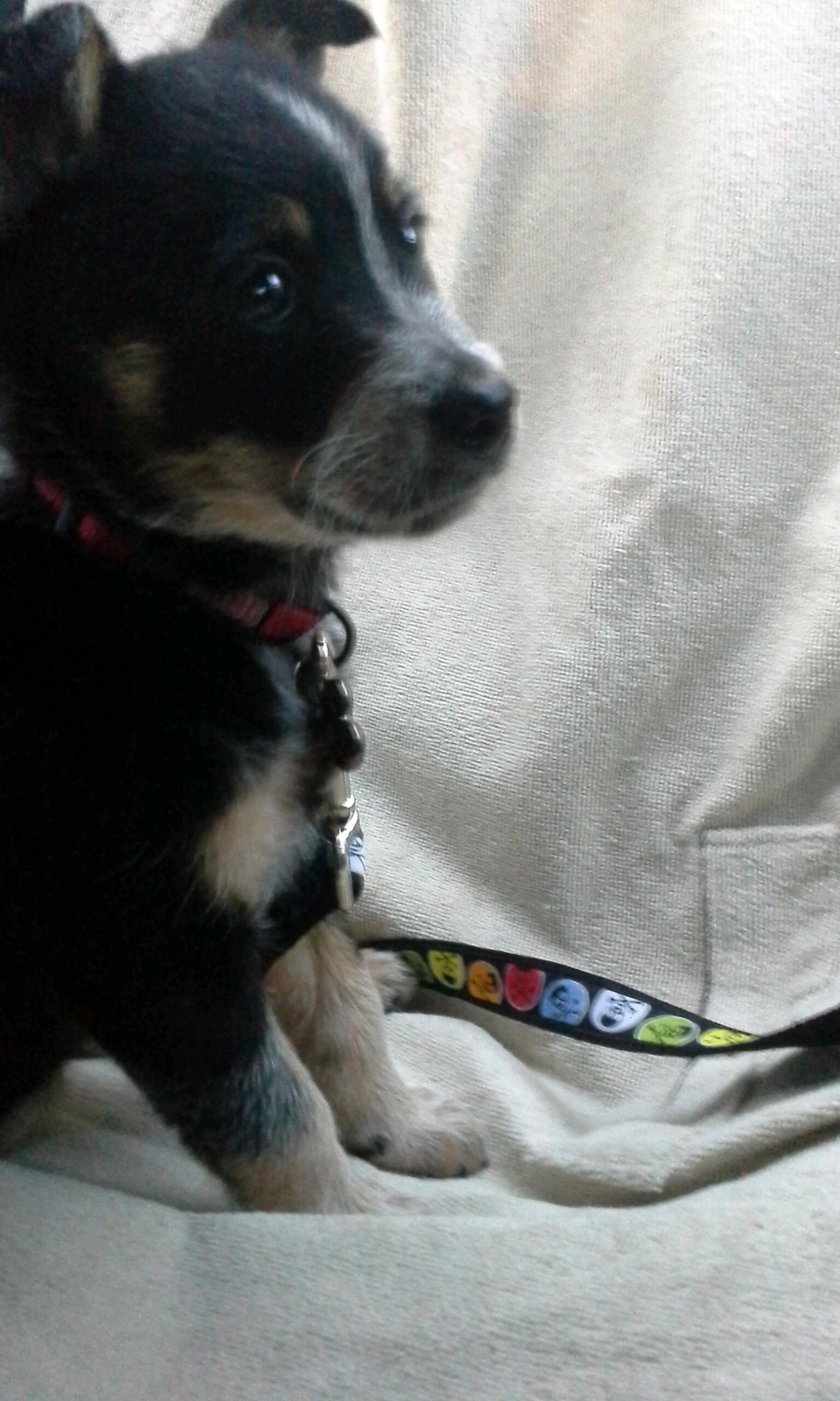 Ness is clearly lonely, so sweet baby Nyla joins the family