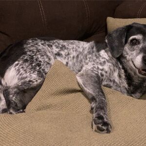 Gallery Photo 24