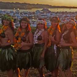 Ohana Of Polynesia LLC, profile image