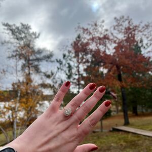 Gallery Photo 19