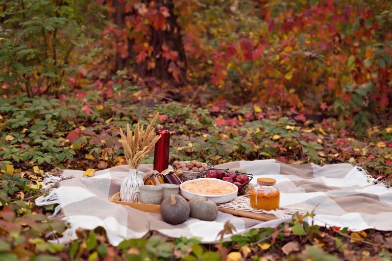 Thanksgiving theme ideas - cozy Thanksgiving picnic