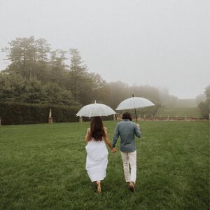 Gallery Photo 61