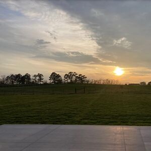Gallery Photo 5