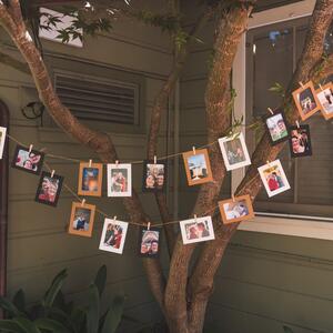 Gallery Photo 4
