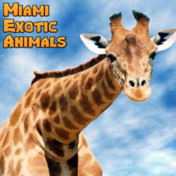 Miami Exotic Animals  &  A Hot Party, profile image