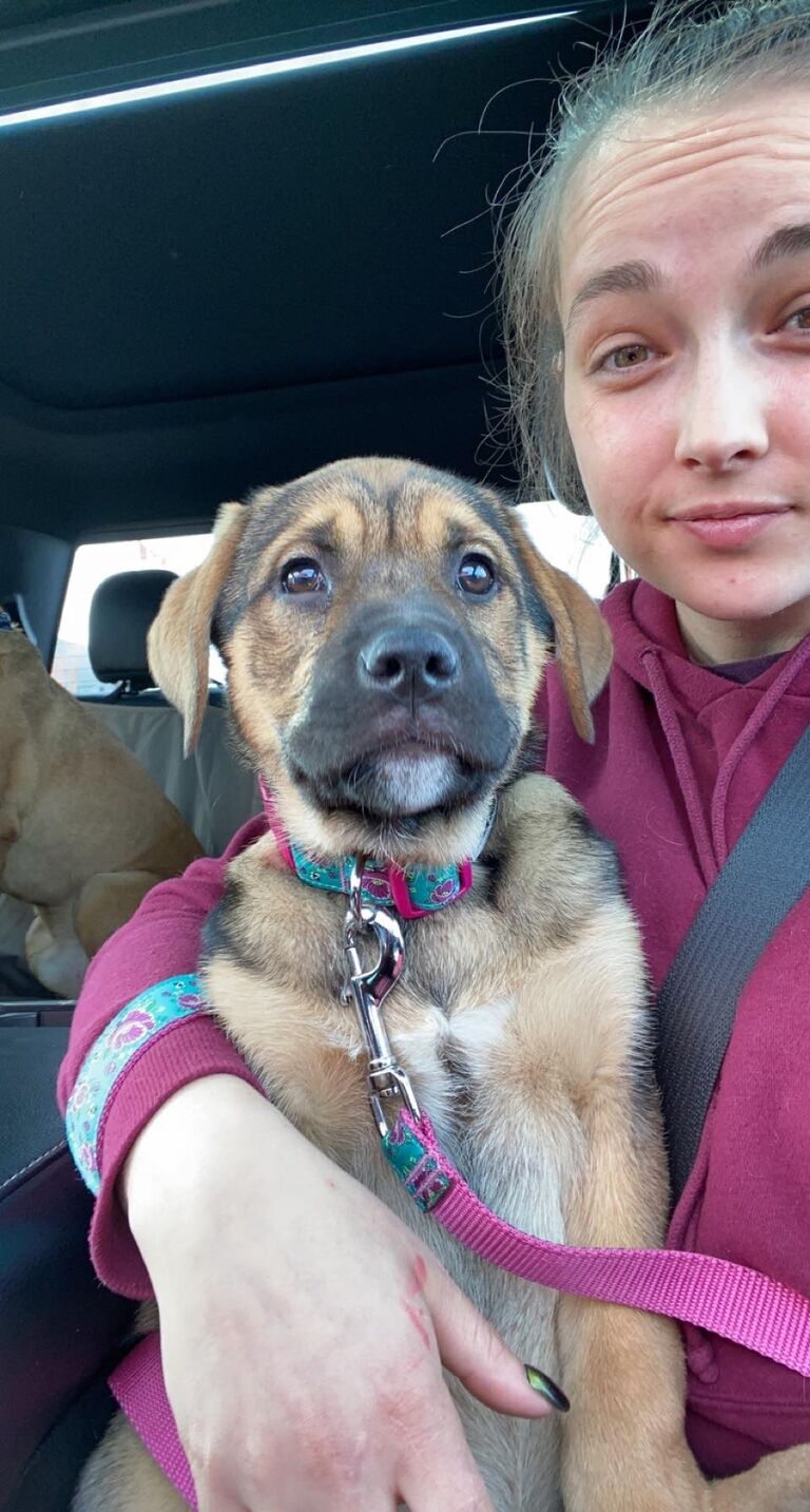 picked up Athena (second dog together)