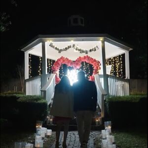 Gallery Photo 19