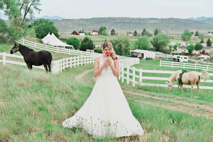 Stonewall Farm Reception  Venues  Berthoud  CO 