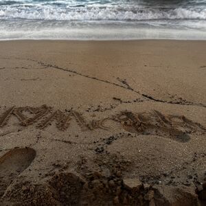 Gallery Photo 16