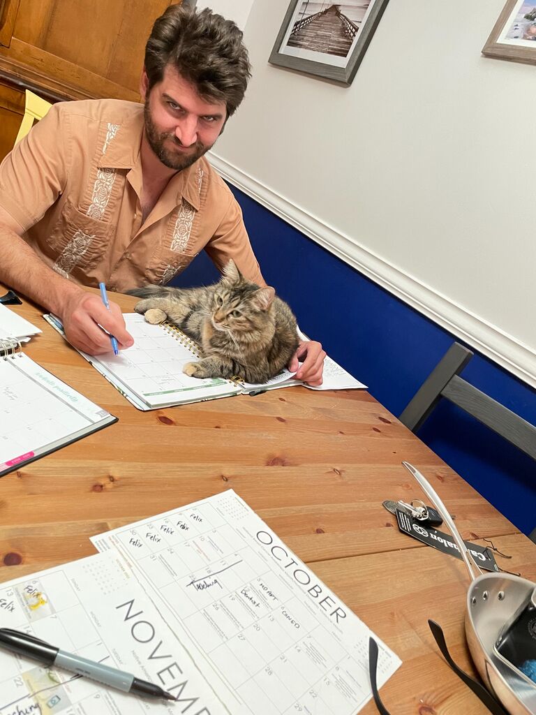 In the evenings, Stephen and I will do paperwork, work, and often coordinate schedules. But not without a little helper or three. Teatley Tea Bag (1 year old cat) did not want to be left out of planning!