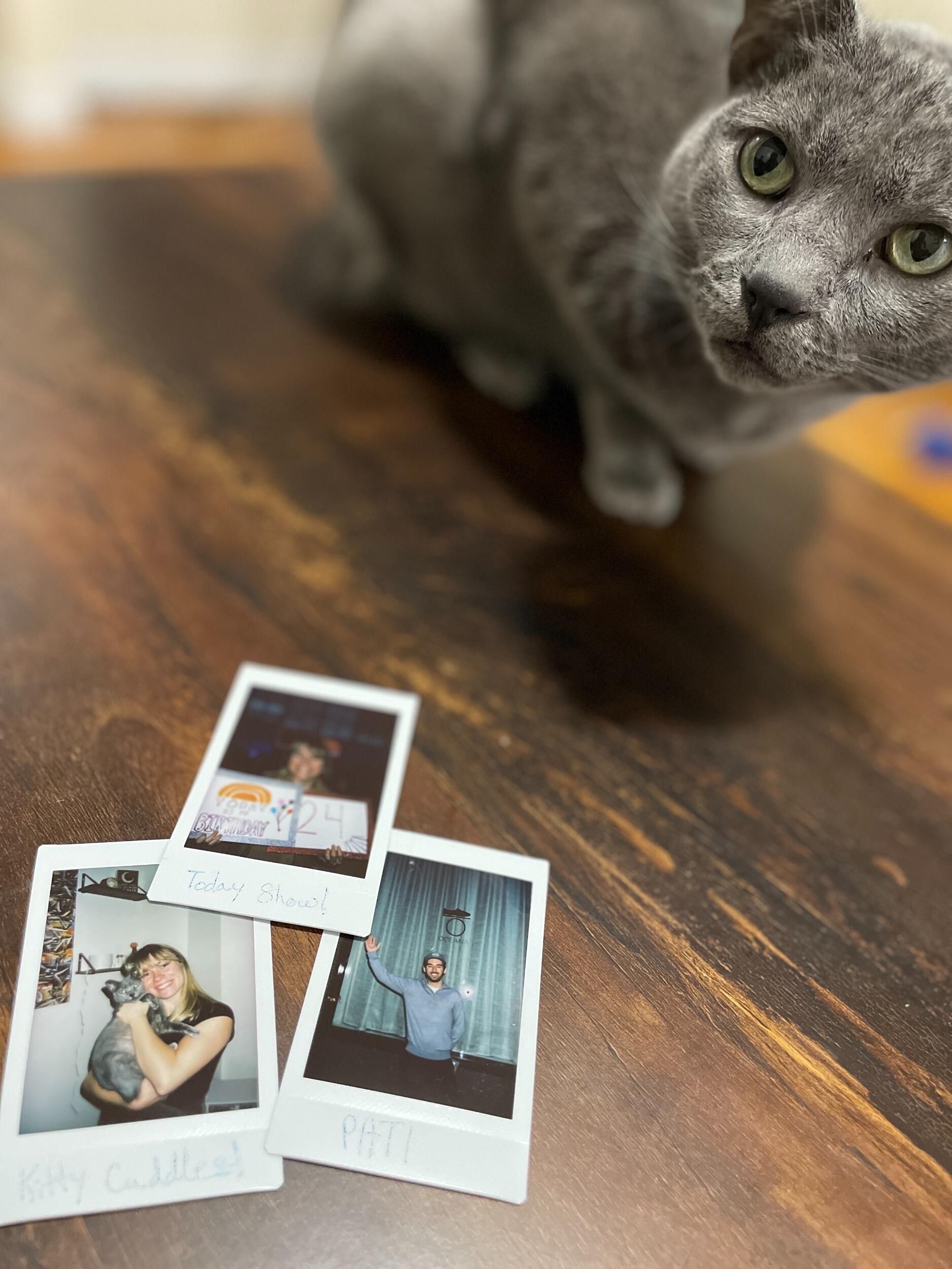 We officially move in together in NYC with our cat Val! 