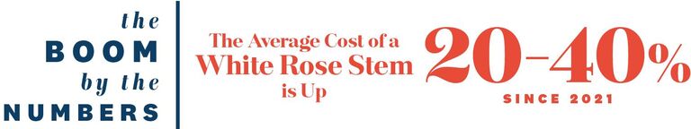 Graphic depicting rising cost of white rose stem
