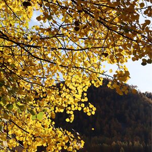 Gallery Photo 73
