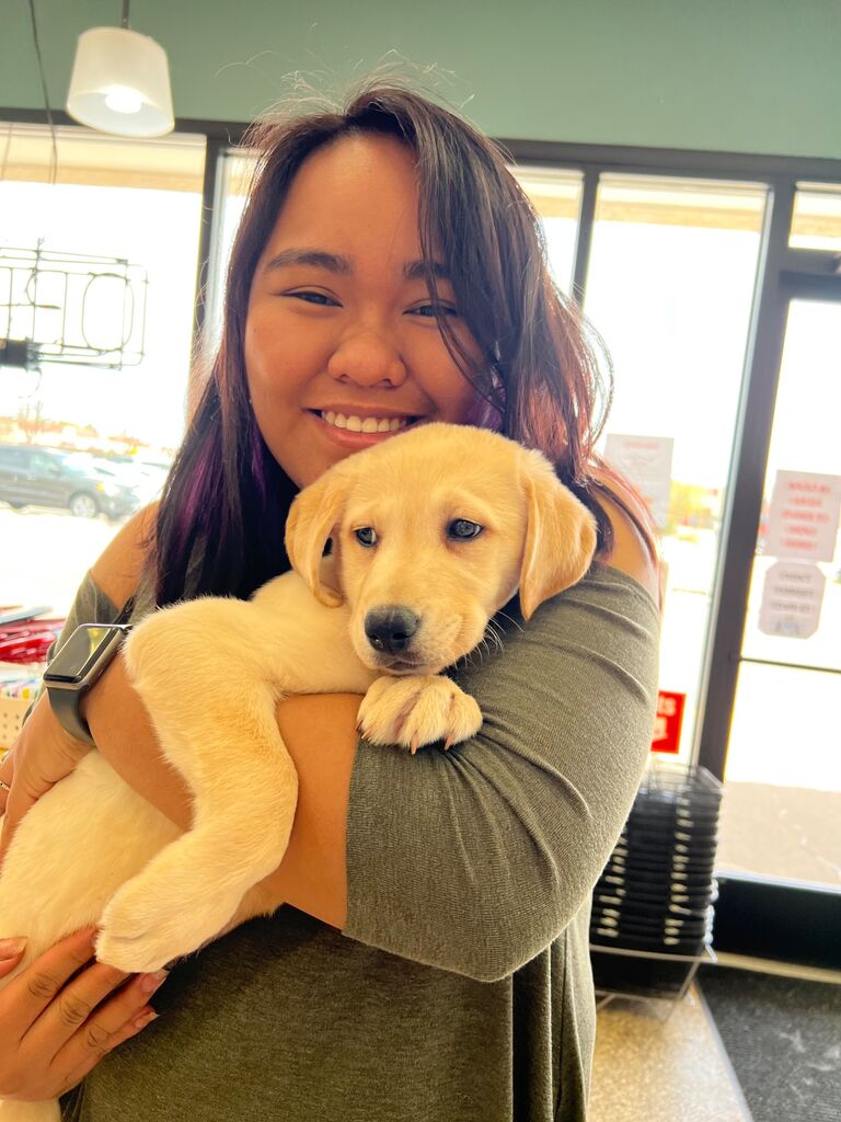 We welcomed our first furry family member, BRUNO into our lives ❤️