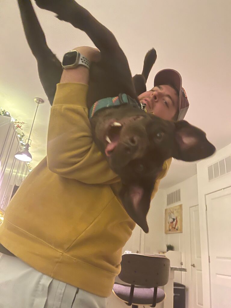 Maui turning into a Bat