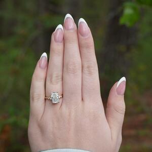 Gallery Photo 43