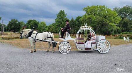 Carriage Limousine Service, Horse Drawn Carriages