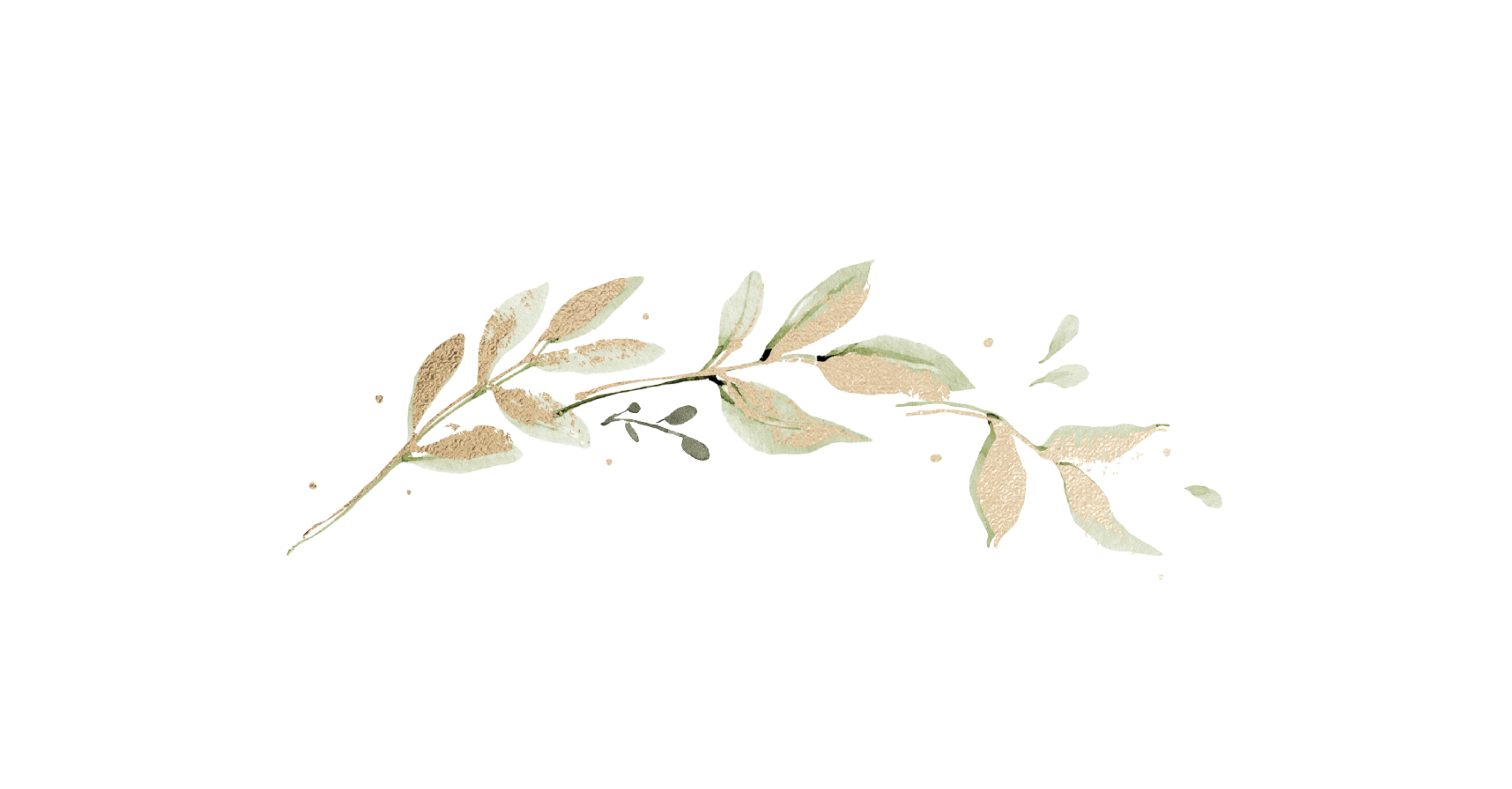 Top Theme Image