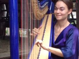 Dr. Vanessa Fountain - Harpist - Palm Springs, CA - Hero Gallery 4