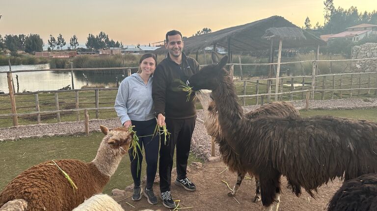 Back with our alpaca friends