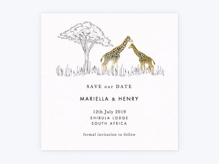 safari destination wedding save the date