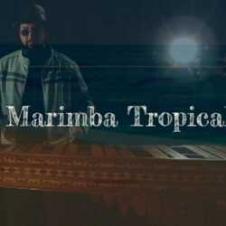 Marimba Tropical, profile image