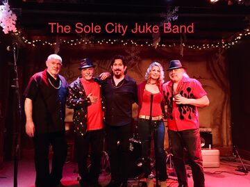 Sole City Juke Band - Cajun Band - Oak Lawn, IL - Hero Main