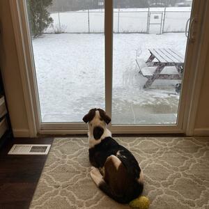 Gallery Photo 116
