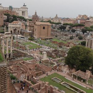 Gallery Photo 41