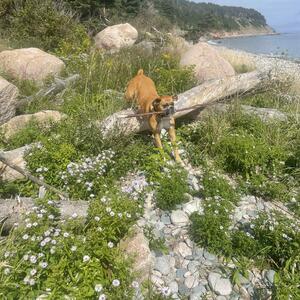Gallery Photo 8