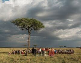 Traditional ceremony taking place underneath an acacia tree. 