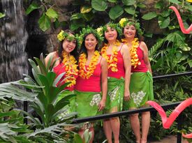 Manivic's (Maniwike's) Hawaiian Dance Company - Hula Dancer - Cleveland, OH - Hero Gallery 3