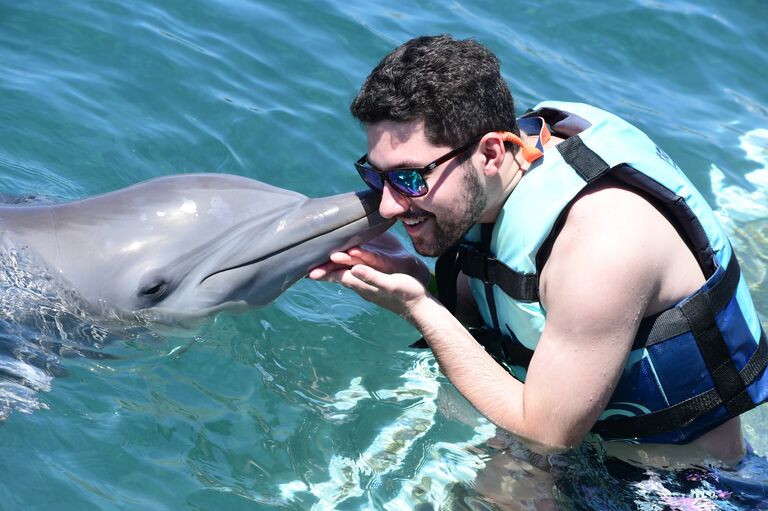 Cruise to the Virgin Islands. Swimming with dolphins.