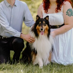 Gallery Photo 4