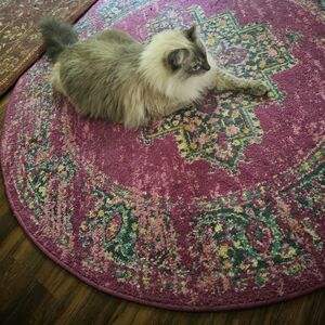 Gallery Photo 38