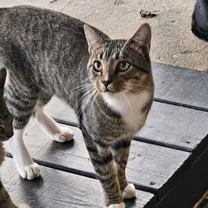 Gallery Photo 26
