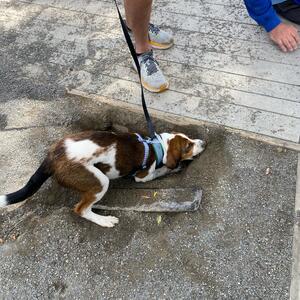 Gallery Photo 53