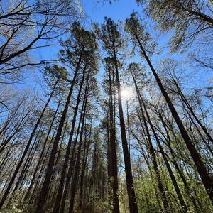 Gallery Photo 27