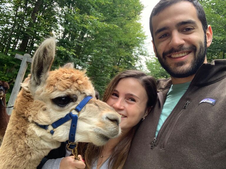 Hanging with our good old friend at the Alpaca farm 