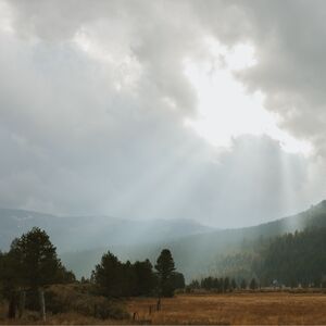 Gallery Photo 32